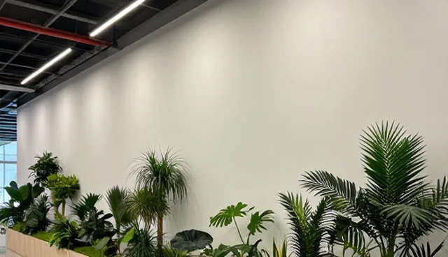 会议接待中如何选择合适的包车服务？